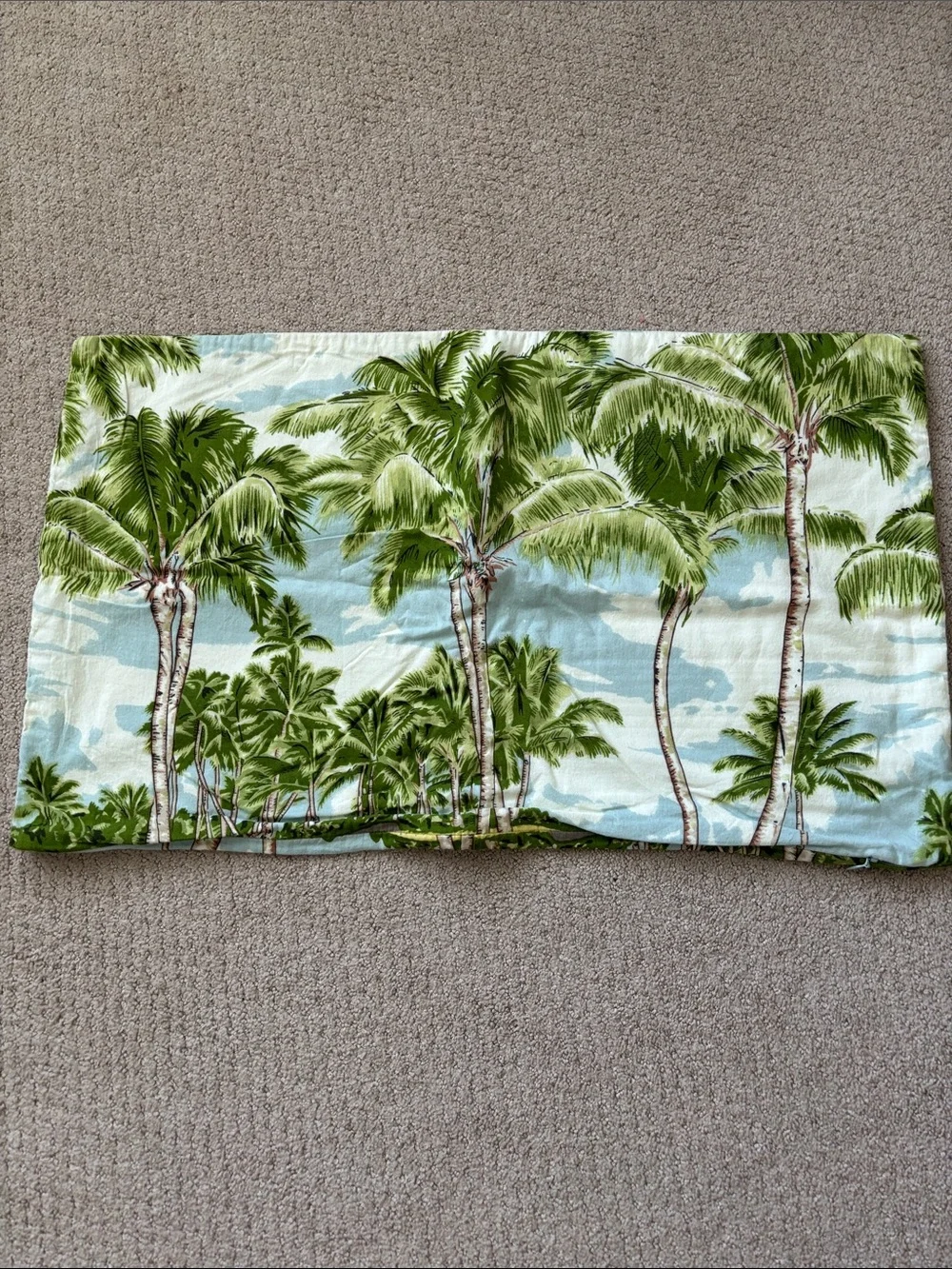 Pottery Barn pillow cover Tropical Palm Tree Print - Green & Sky Blue